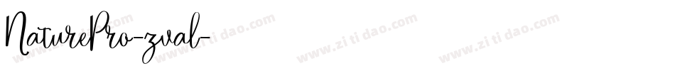 NaturePro-zval字体转换