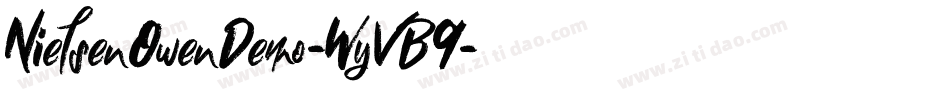 NielsenOwenDemo-WyVB9字体转换