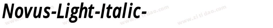 Novus-Light-Italic字体转换