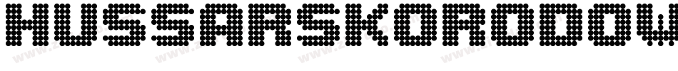 HussarSkorodowaneKursywa-Z8x8字体转换