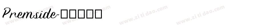 Premside字体转换
