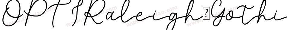 OPTIRaleigh-Gothic字体转换