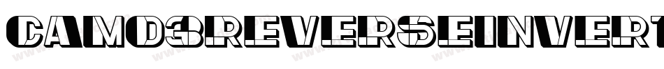 Camo3ReverseInverted-PMLE字体转换