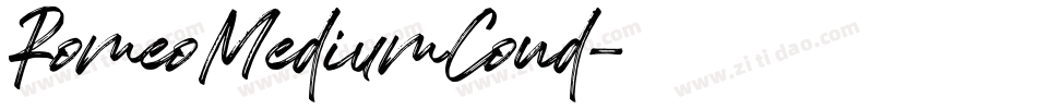 RomeoMediumCond字体转换