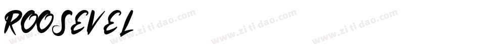 ROOSEVEL字体转换
