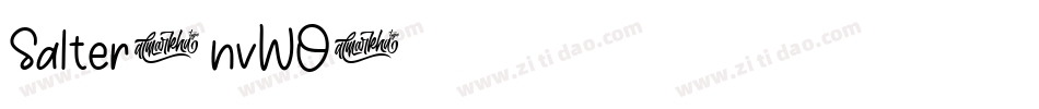 Salter-nvWO字体转换