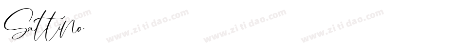 Saltino-2字体转换