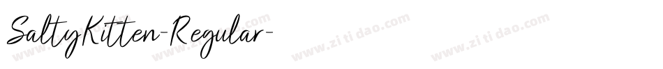 SaltyKitten-Regular字体转换