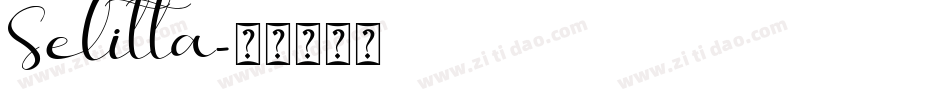 Selitta字体转换