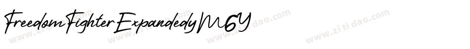 FreedomFighterExpanded-yM6Y字体转换