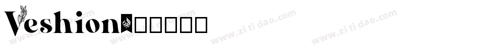 Veshion字体转换