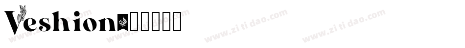Veshion字体转换