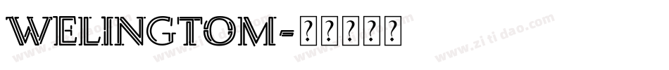 Welingtom字体转换