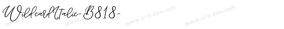 WildcardItalic-B818字体转换