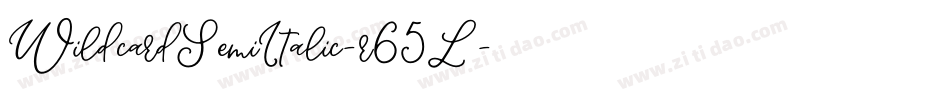 WildcardSemiItalic-r65L字体转换