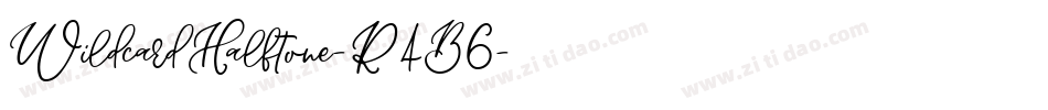 WildcardHalftone-R4B6字体转换