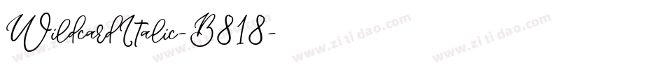 WildcardItalic-B818字体转换