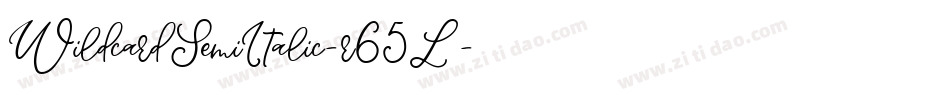 WildcardSemiItalic-r65L字体转换