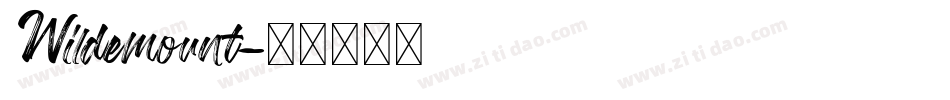 Wildemount字体转换