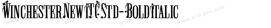 WinchesterNewITCStd-BoldItalic字体转换