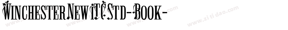 WinchesterNewITCStd-Book字体转换