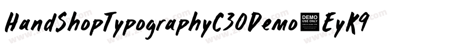 HandShopTypographyC30Demo-EyK9字体转换