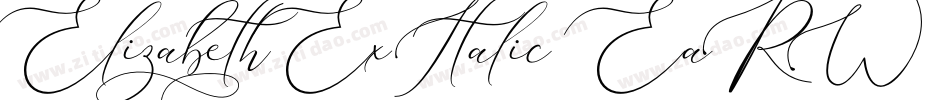ElizabethExItalic-EaRW字体转换