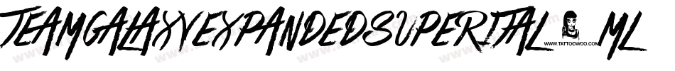 TeamGalaxyExpandedSuperital-mLYm2字体转换