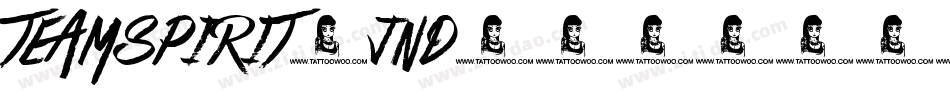 Teamspirit-Jnd7字体转换