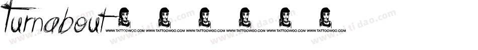 Turnabout字体转换
