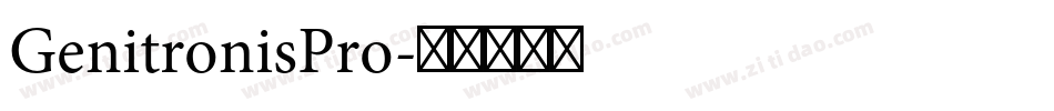 GenitronisPro字体转换
