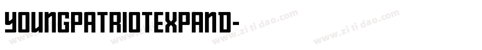 youngpatriotexpand字体转换
