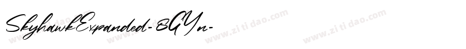 SkyhawkExpanded-8GYn字体转换