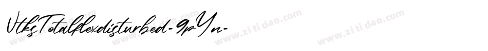 VtksTotalflexdisturbed-9pYn字体转换