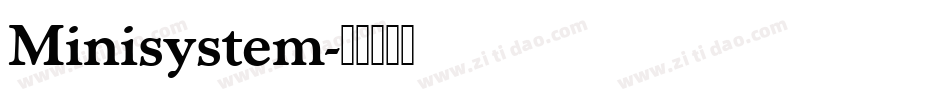 Minisystem字体转换