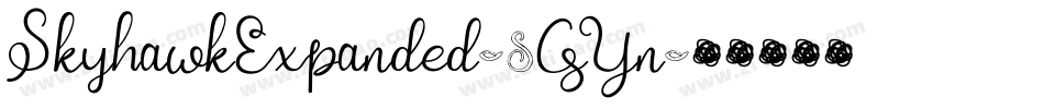 SkyhawkExpanded-8GYn字体转换