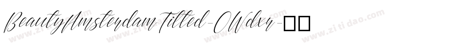 BeautyAmsterdamTilted-0Wdxr字体转换