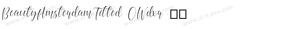 BeautyAmsterdamTilted-0Wdxr字体转换