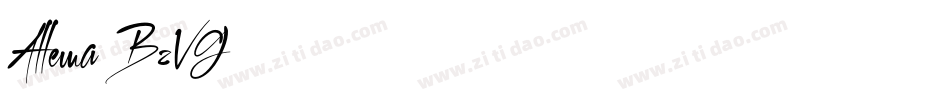 Allema-BzVG字体转换