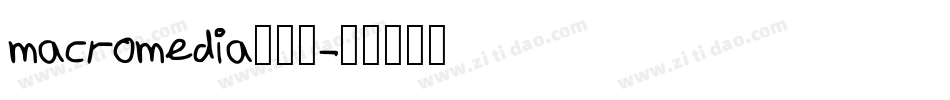 macromedia转换器字体转换