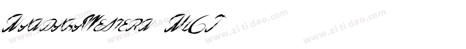 NandakaWestern-Ml6J字体转换