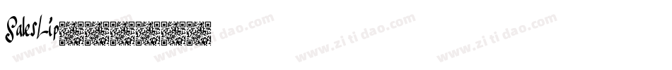 SalesLip字体转换