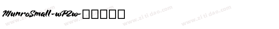 MunroSmall-wPZw字体转换