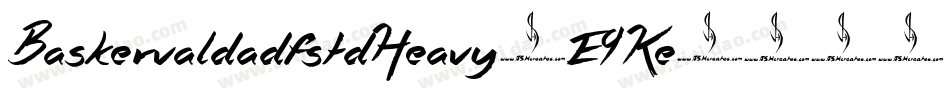 BaskervaldadfstdHeavy-E9Ke字体转换