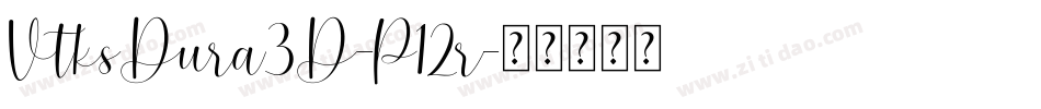 VtksDura3D-P12r字体转换