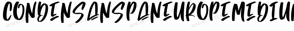 CondensanspaneuropeMediumoblique-vRzy字体转换