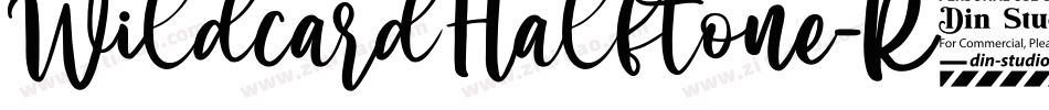 WildcardHalftone-R4B6字体转换