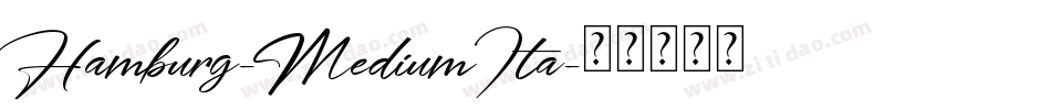 Hamburg-MediumIta字体转换