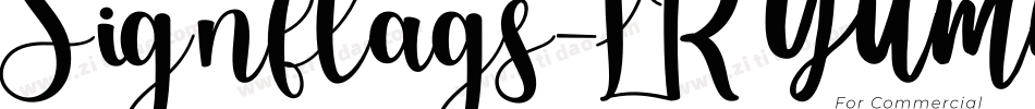 Signflags-LR8n字体转换 Signflags-LR8n字体转换