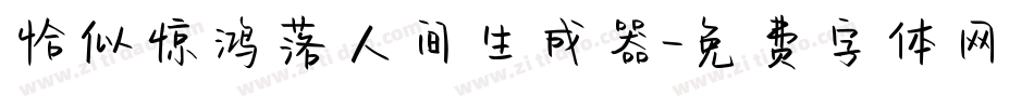 恰似惊鸿落人间生成器字体转换
